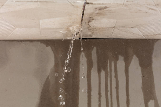 Professional Structural Drying technician working in Forest, MS